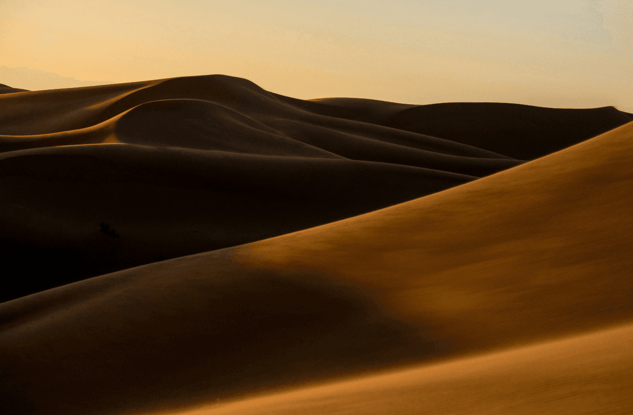 Desert, Kasbahs & Ocean